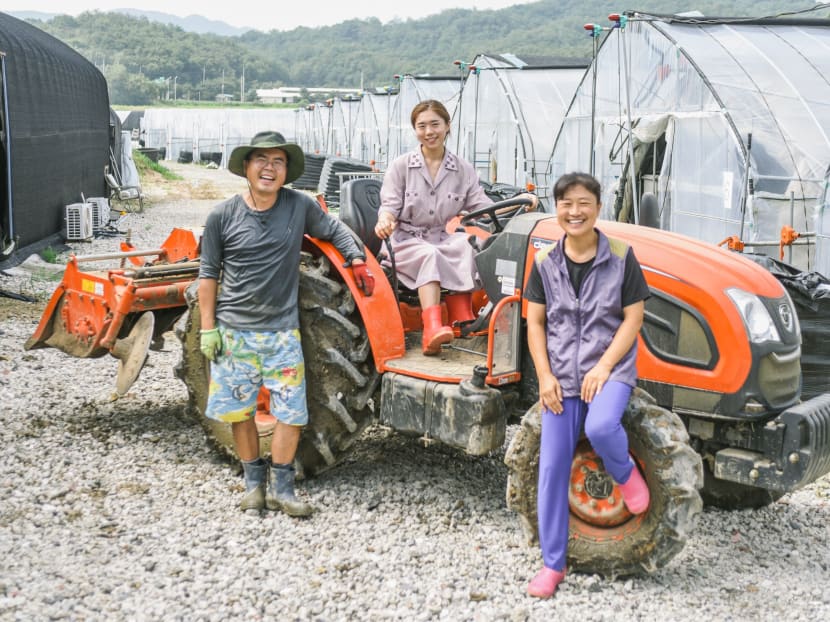 Mr Jeon Kyou Sik, 51, started running the vegetable farm with his wife, Ms Lee Kyoung Lee, 47 in 2015, two years before their daughter, Ms Jeon Joo Young, decided to join them and run the farm together. Photo: Cheah Wenqi