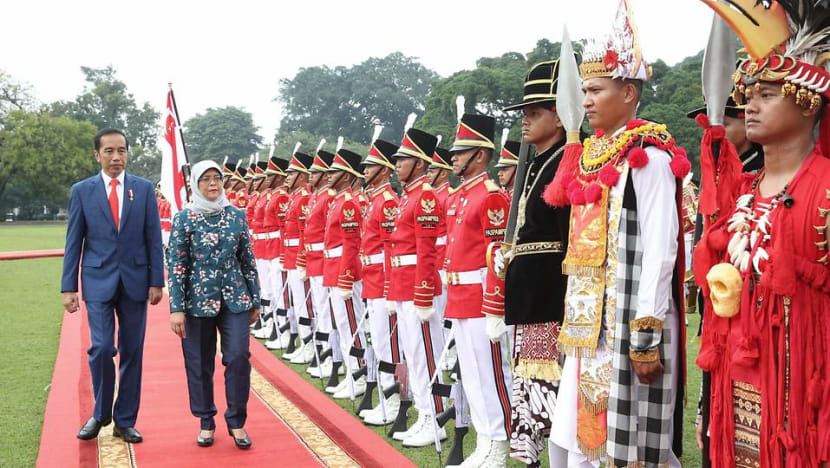 President Halimah meets counterpart Widodo in first state visit to Indonesia
