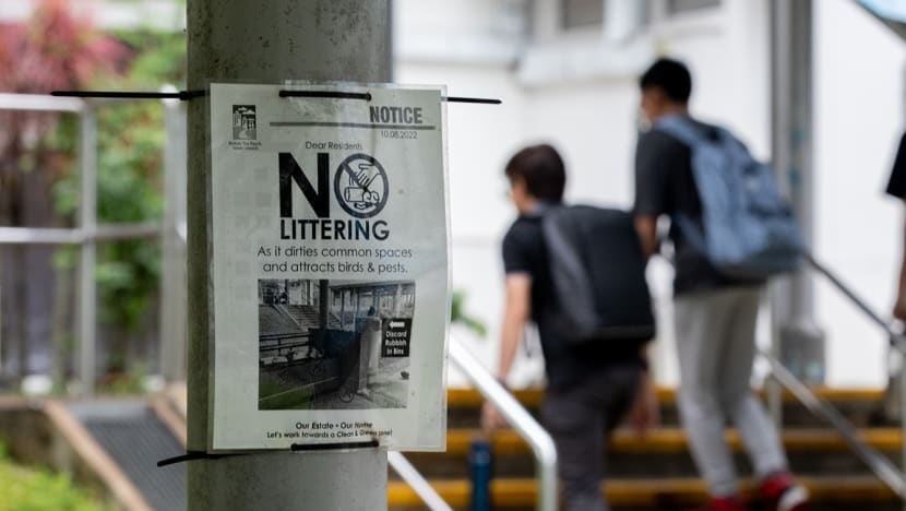 20240305 ili littering br 3