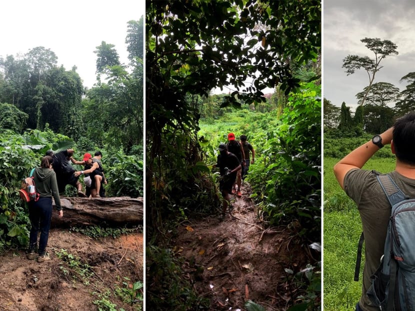 TODAY journalists with nature lovers Brice Li and Raj Bharathi at Clementi Forest on Jan 9, 2021. TODAY journalists with nature lovers Brice Li and Raj Bharathi at Clementi Forest on Jan 9, 2021.