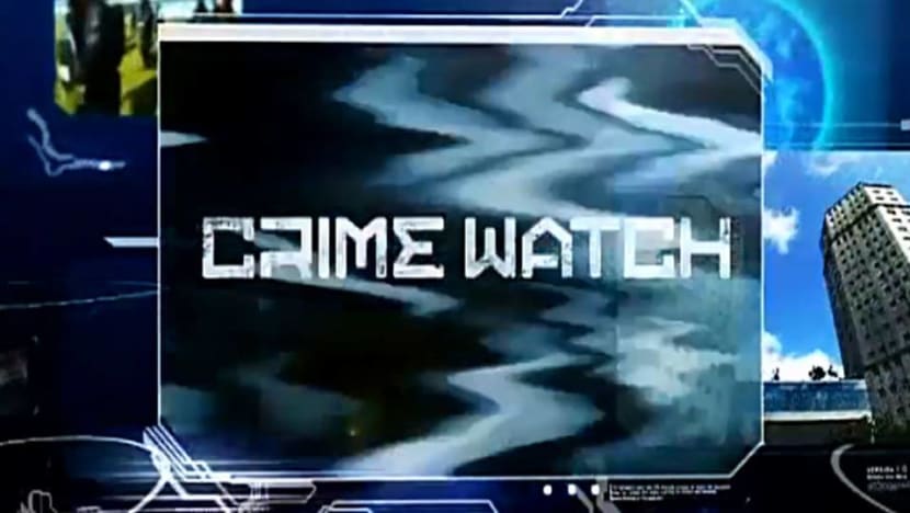 Teenagers inspired by Crime Watch episode admit to robbing sex workers 