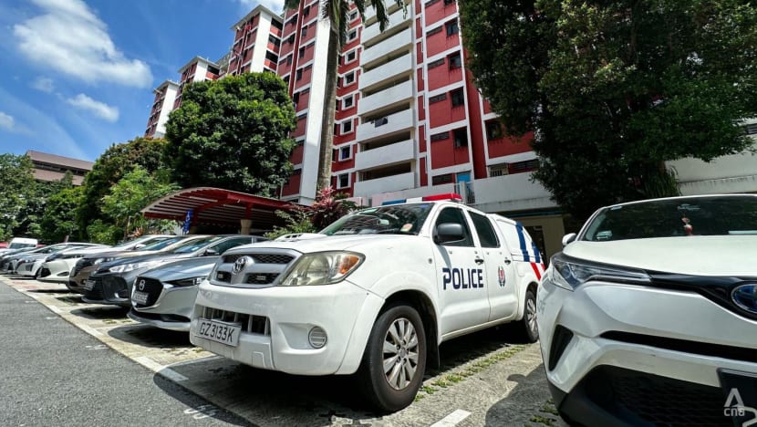 Man charged with murdering his co-tenant at Redhill Close