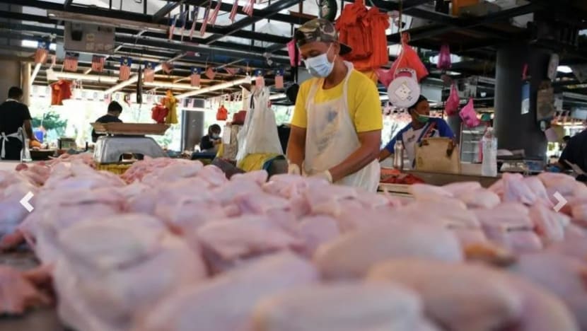 Kebenaran eksport ayam M'sia akan dipertimbang jika bekalan domestik tidak terjejas 