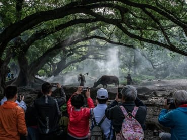 This Instagram hotspot in China has 'models' dressed as farmers with buffaloes