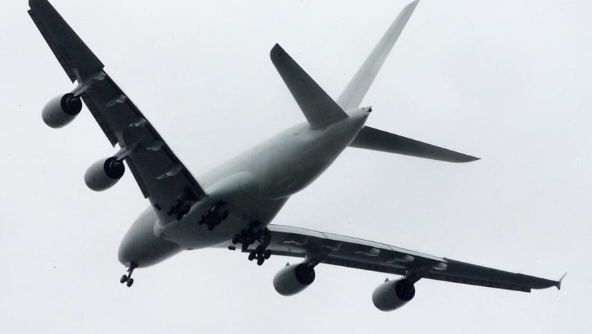 Some airlines risk failure if they do not cut carbon emissions faster: Industry report Some airlines risk failure if they do not cut carbon emissions faster: Industry report