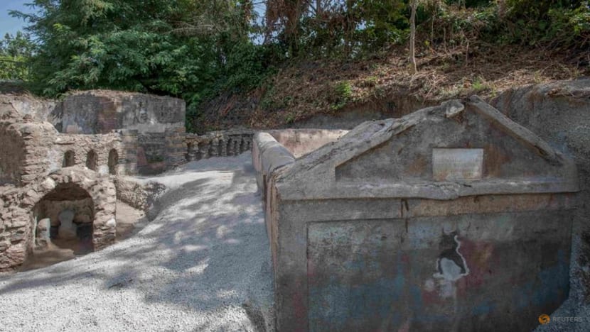 Well-preserved skeleton sheds light on culture in ancient Pompeii Well-preserved skeleton sheds light on culture in ancient Pompeii