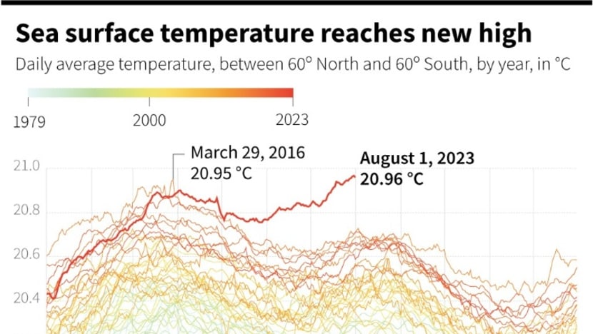 World's oceans set new surface temperature record: EU monitor