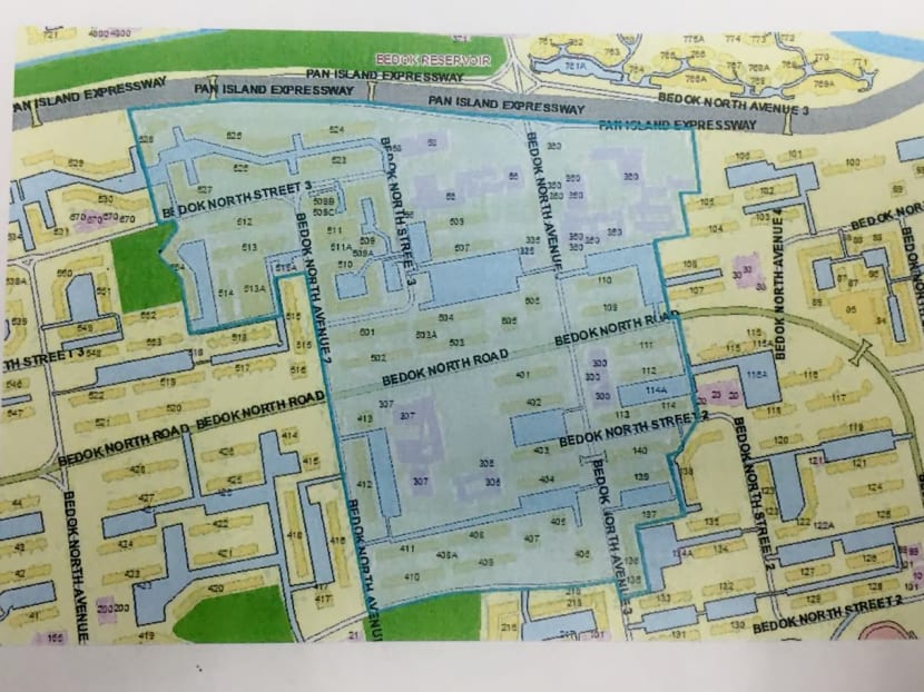 Zika outbreak: 33 more confirmed cases, new potential cluster at Bedok North Ave 3 Zika outbreak: 33 more confirmed cases, new potential cluster at Bedok North Ave 3