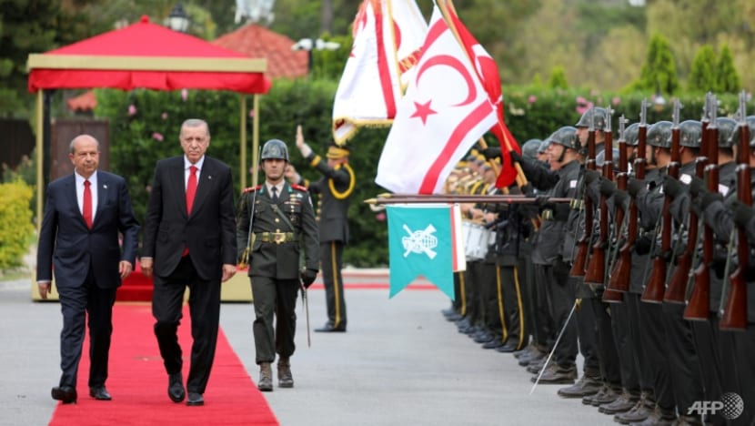 Victorious Erdogan demands recognition of northern Cyprus
