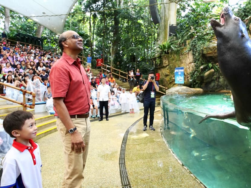 Mr Tharman Shanmugaratnam, Deputy Prime Minister & Coordinating Minister for Economic and Social Policies, and Hazeef Bin Herman, 6, a PCF kindergarten student,  watch Pedro, a 17-year old male sea lion, perform. The PAP Community Foundation (PCF), celebrating its 30th anniversary this year, hosted about 10,000 PCF children and their parents at its annual PCF Family Day 2016 held at the Singapore Zoo on Sept 11, 2016. Photo: Nuria Ling/TODAY