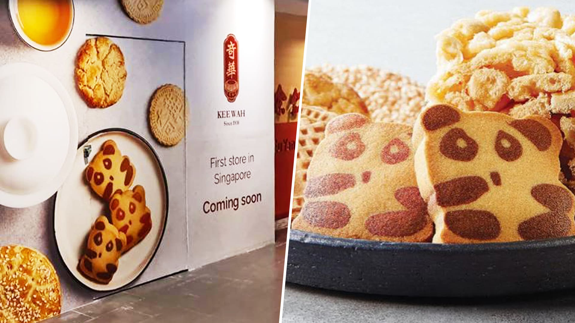 Kee Wah Bakery From HK Opening Shop In S’pore, Panda Cookies & Egg Rolls Expected To Be Sold Here