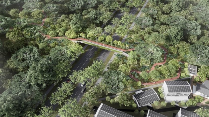 New eco-pedestrian bridge to be built across Upper Bukit Timah Road by 2026