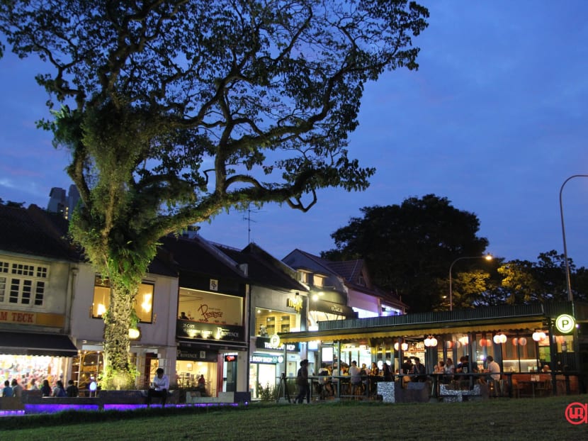 Holland Village set for more buzz as mixeduse site is released TODAY