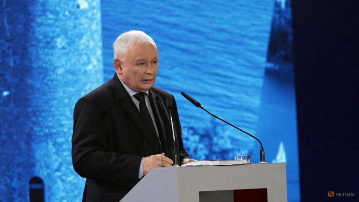 Poland's security depends on own army and US - deputy PM - TODAY