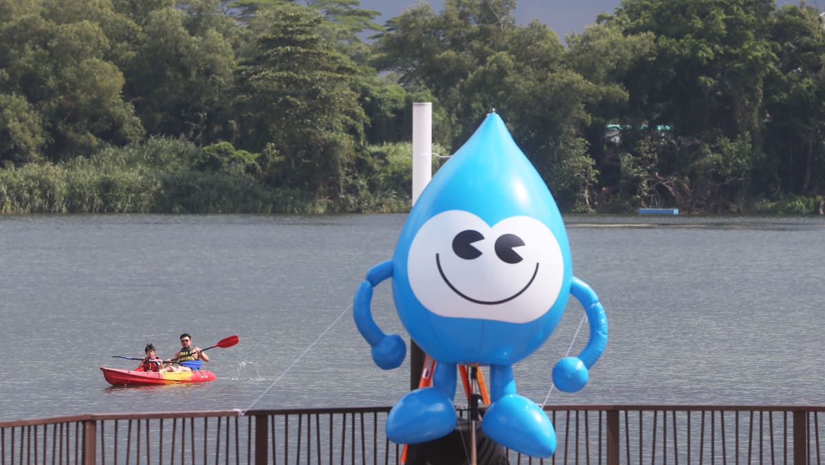 Water pricing based on household size, usage a better system: Expert