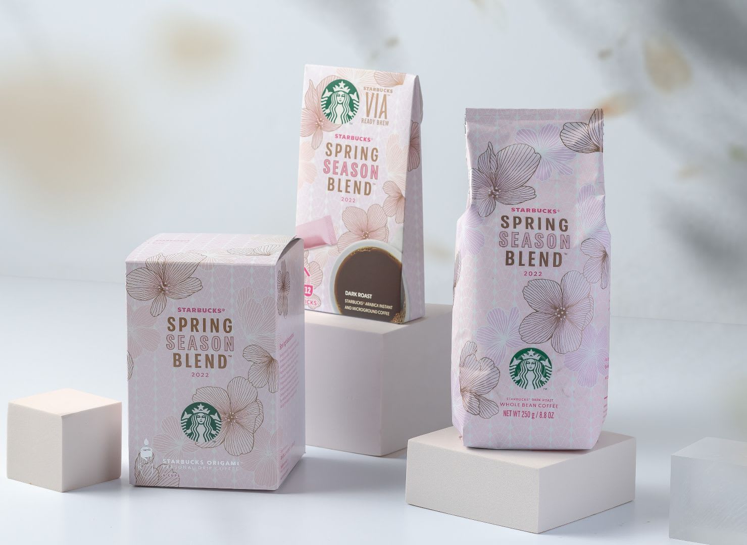 Starbucks Spring Season Blend 2024 Sula Bettina