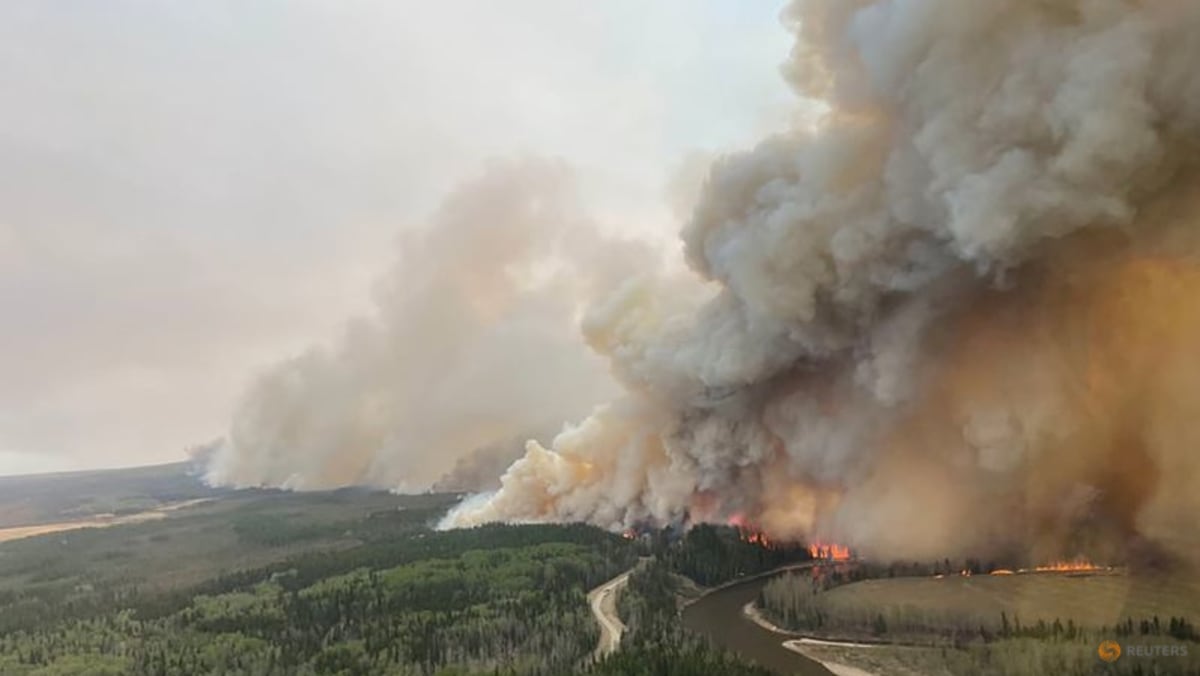 Canada’s Alberta province declares state of emergency over wildfires