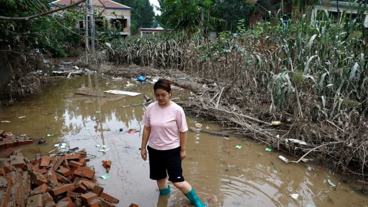 China’s Hebei province plans for two years for post-flood reconstruction