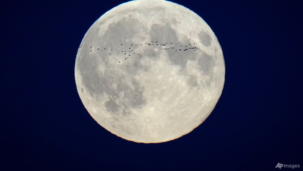 October’s supermoon pairs with a comet for a special nighttime spectacle