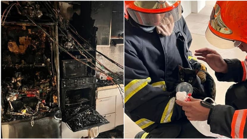 Infant taken to hospital, two cats rescued following fire at Jurong East flat