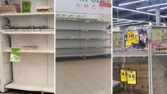 马国“鸡蛋荒”持续 大型超市老板促限出口