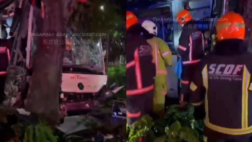 SBS transit driver dies after bus crashes into tree outside Hougang depot