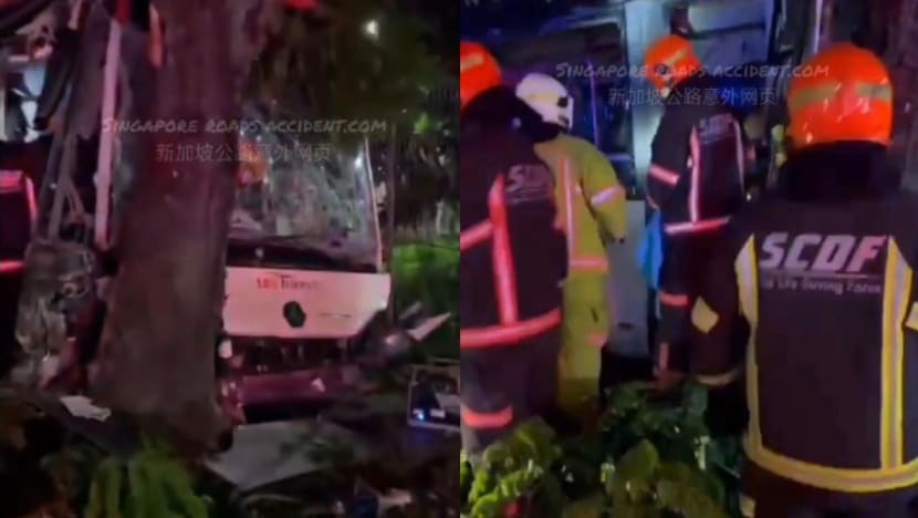 SBS transit driver dies after bus crashes into tree outside Hougang depot SBS transit driver dies after bus crashes into tree outside Hougang depot