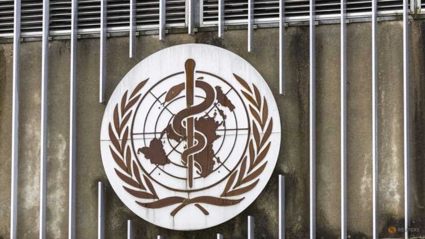 WHO report on Ukraine health emergency sparks US, Russia row WHO report on Ukraine health emergency sparks US, Russia row