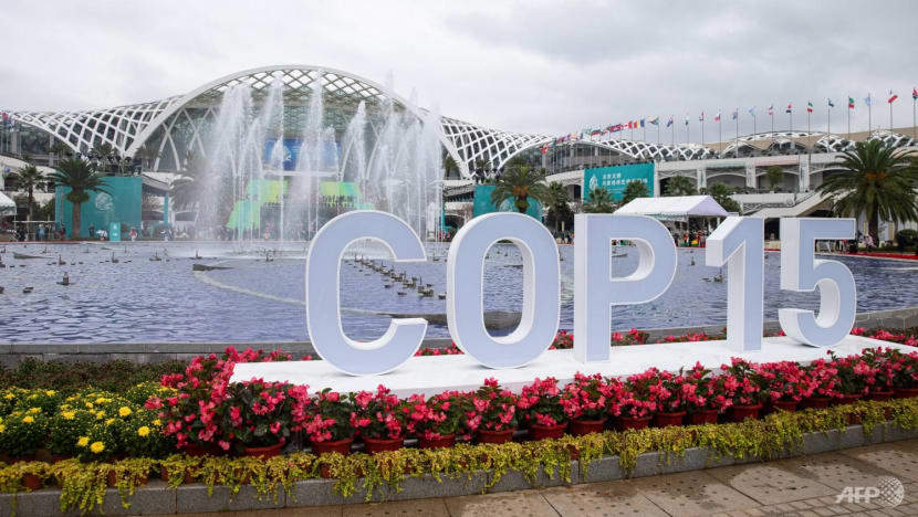Biodiversity conference moved from China to Canada: UN Biodiversity conference moved from China to Canada: UN
