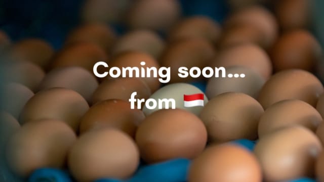 食品局批准进口印尼鸡蛋 获准出口鸡蛋到我国的地区增至18个