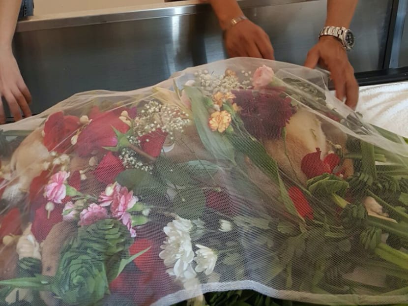 Saying goodbye: Owners go the extra mile for their pet’s final journey Saying goodbye: Owners go the extra mile for their pet’s final journey