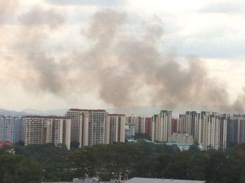 A vegetation fire broke out near the Sungei Kadut Industrial Estate on Saturday, March 7, 2015. Photo: Tan Lee Lee