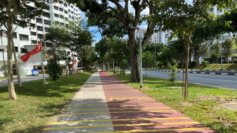 New cycling paths launched in Tampines, linking residents to key amenities and green spaces