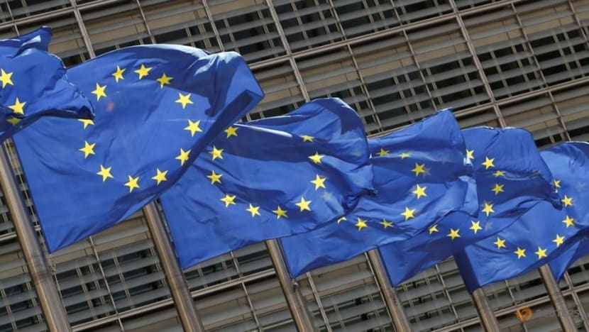EU lawmaker wants stronger privacy rights in proposed EU tech rules EU lawmaker wants stronger privacy rights in proposed EU tech rules