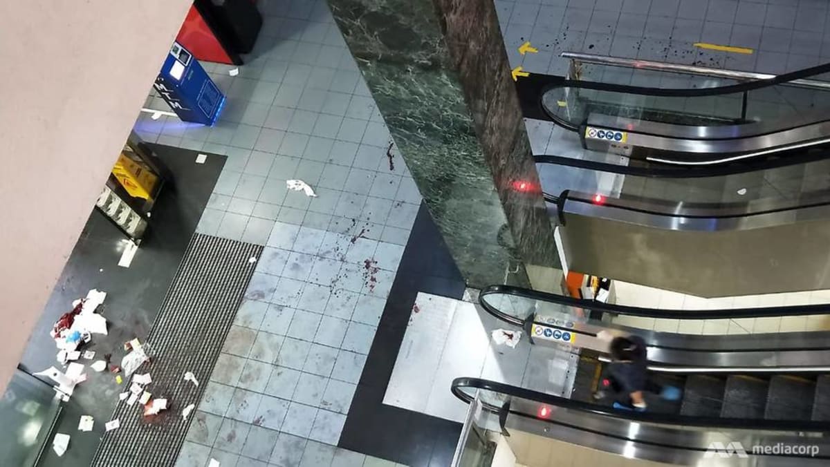 Orang keenam dalam pertarungan fatal di Orchard Towers mengakui keterlibatannya dalam kasus dan insiden perkelahian yang tidak terkait