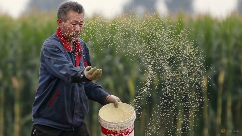 China makes 10 billion yuan available to subsidise grain growers China makes 10 billion yuan available to subsidise grain growers