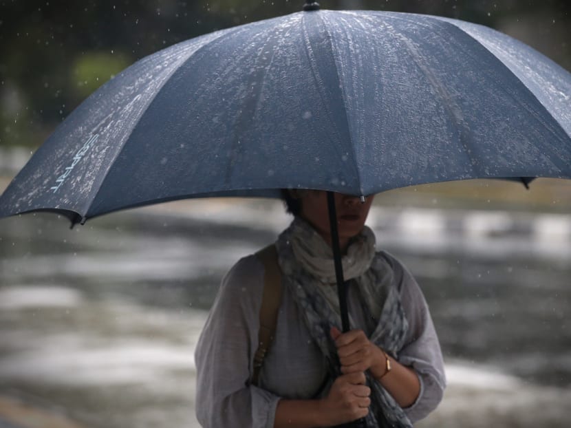 A woman walks with her umbrella during a heavy downpour at Pasir Panjang on June 29, 2018.