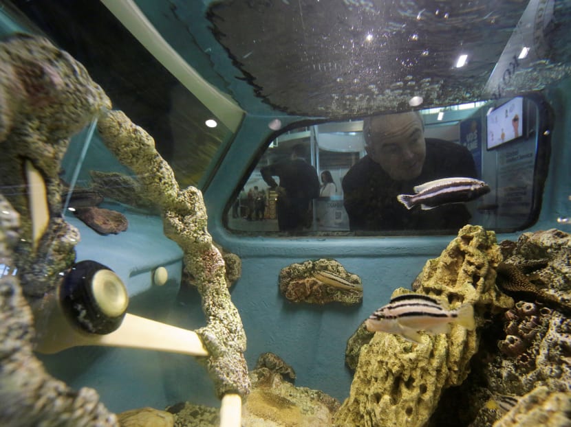 Photo of the day: A visitor looks at a Soviet-made Zaporozhets retro car, which was converted into an aquarium at a small and medium business exhibition in St. Petersburg, Russia.