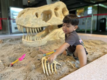 11 best things to do with your kids during the end of year school holidays