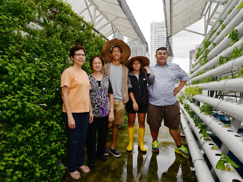 Farming, one rooftop at a time - TODAY