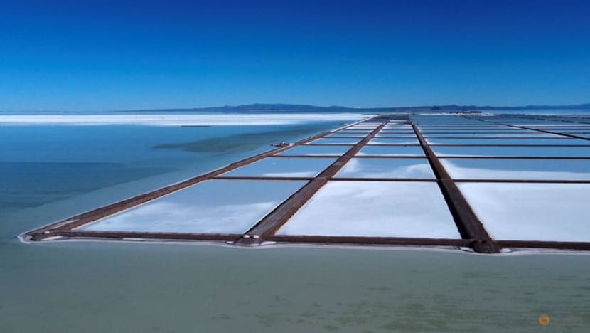 Bolivia still evaluating six firms for lithium mining partnerships Bolivia still evaluating six firms for lithium mining partnerships