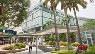 Ang Mo Kio to get new 'Garden Loop' trail as part of rejuvenation plans | Video