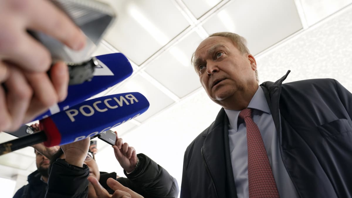 US sanctions will not make Russia stop protecting its interests: Russian ambassador - Vimarsana News