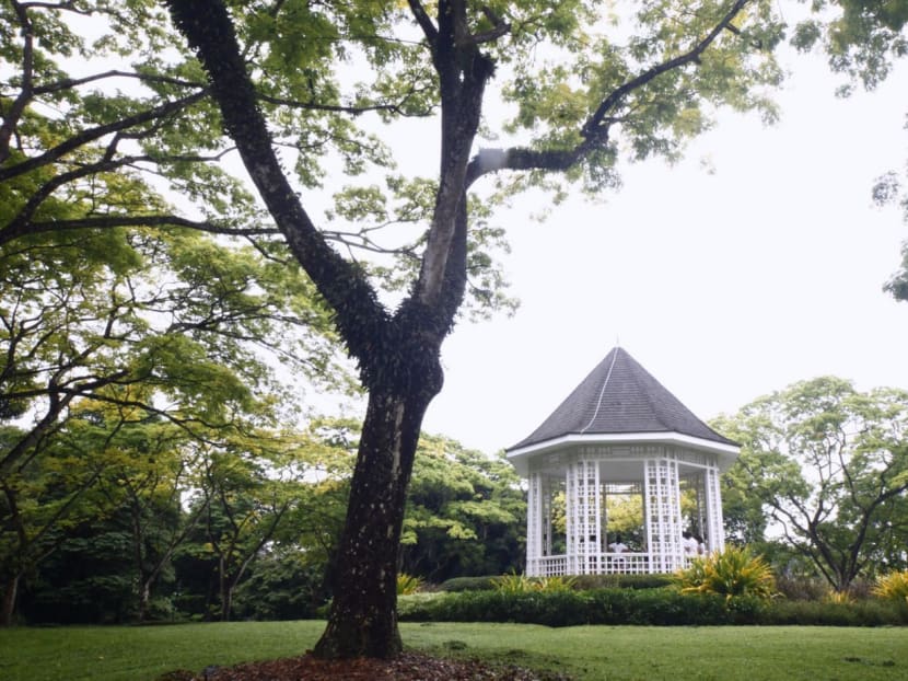 The Band Stand at the Singapore Botanic Gardens. Photo: Ernest Chua