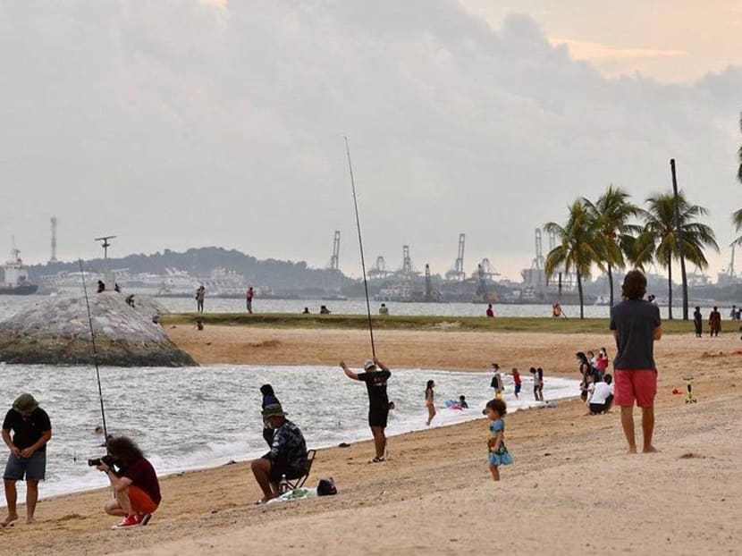 PUB to begin coastal protection study along City-East Coast coastline PUB to begin coastal protection study along City-East Coast coastline
