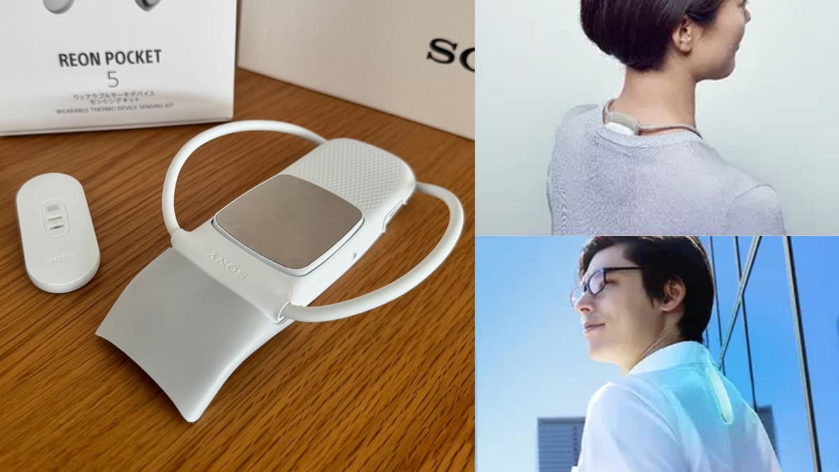 【ほぼ未使用】REON POCKET 4 Sony Reon Pocket 4 Wearable Temperature Controller | Japan