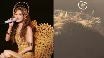 “When Did He Last Wash His Hair?”: Netizen Films Spider Spinning Web On Head Of Man At Angela Chang Concert
