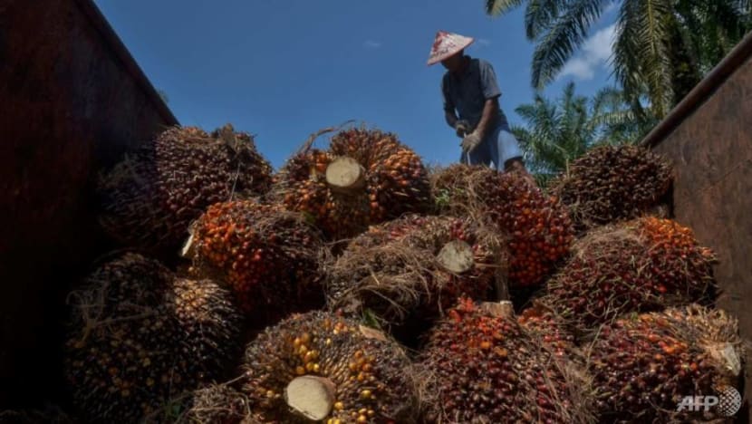 Malaysia takes WTO legal action against EU over palm biofuel curbs