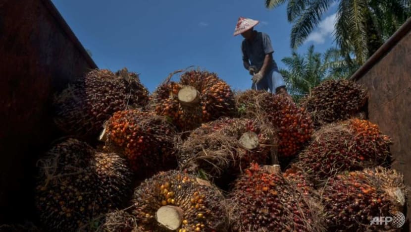 Malaysia takes WTO legal action against EU over palm biofuel curbs Malaysia takes WTO legal action against EU over palm biofuel curbs