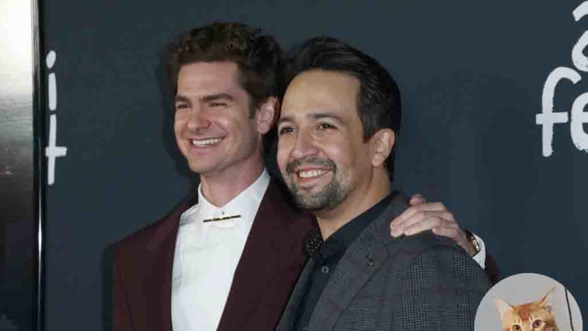 Lin manuel miranda hot sale cats